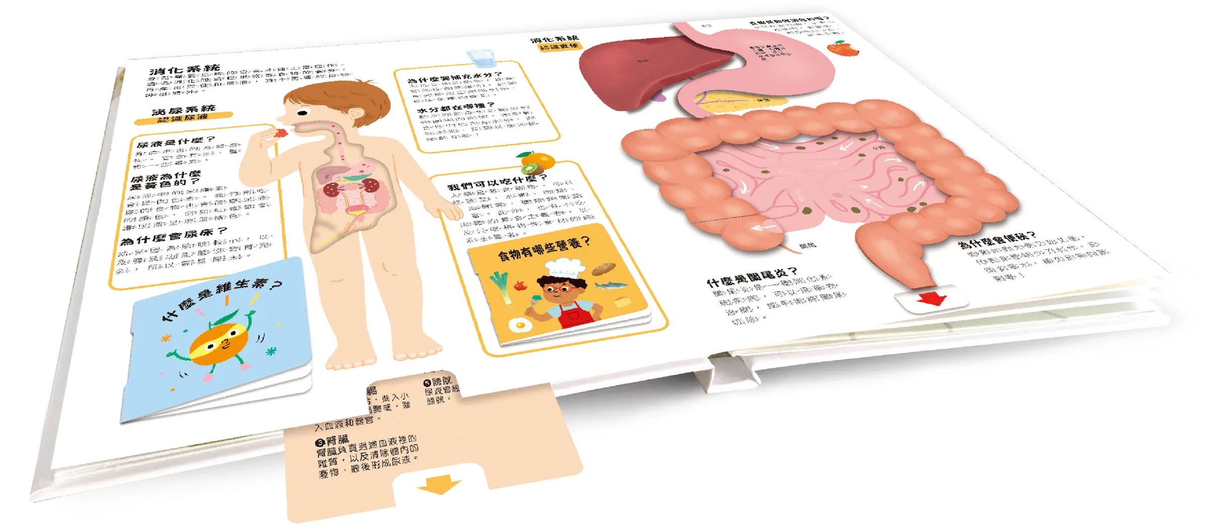 小小知識家動手大發現-人體 AMAZING! 小小知識家動手大發現-人體 AMAZING!